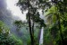 na-svete-zbylo-uz-jen-sedm-tropickych-destnych-pralesu-8460150